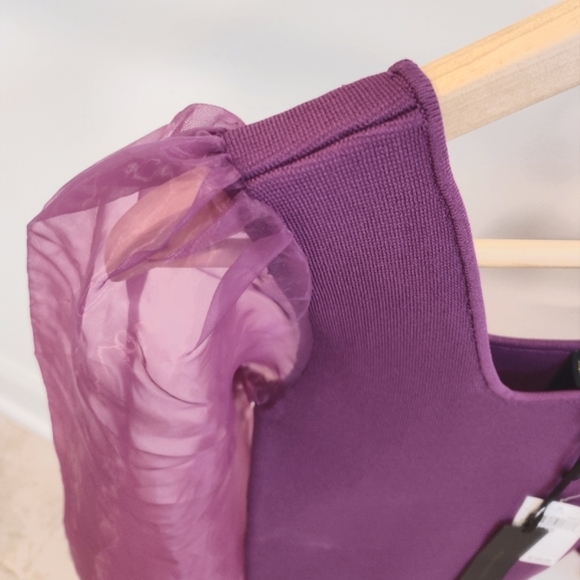 House of Harlow 1960 Sheer Puff Sleeves Knit Top - Picture 6 of 12